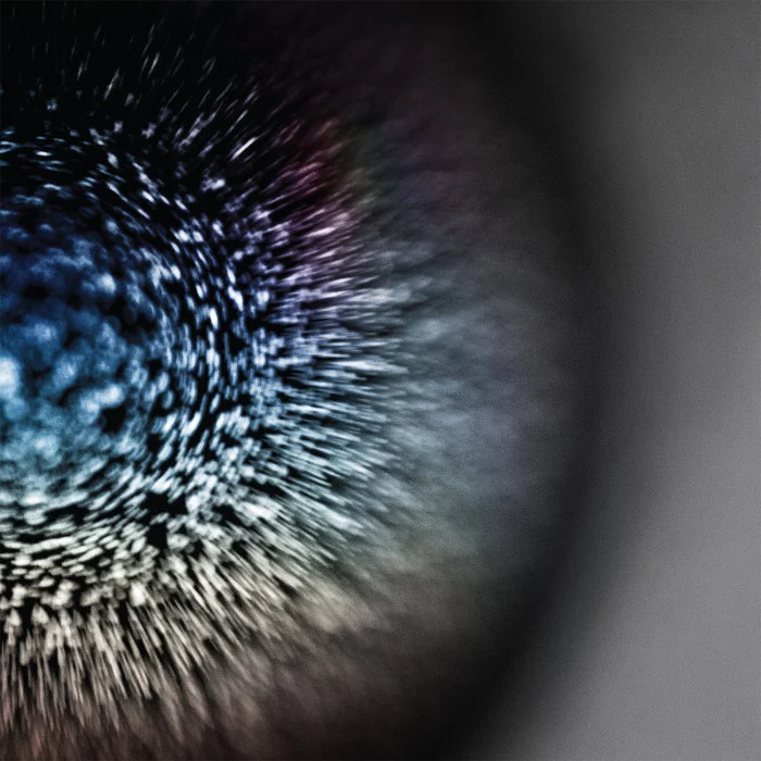 emptyset — Blossoms