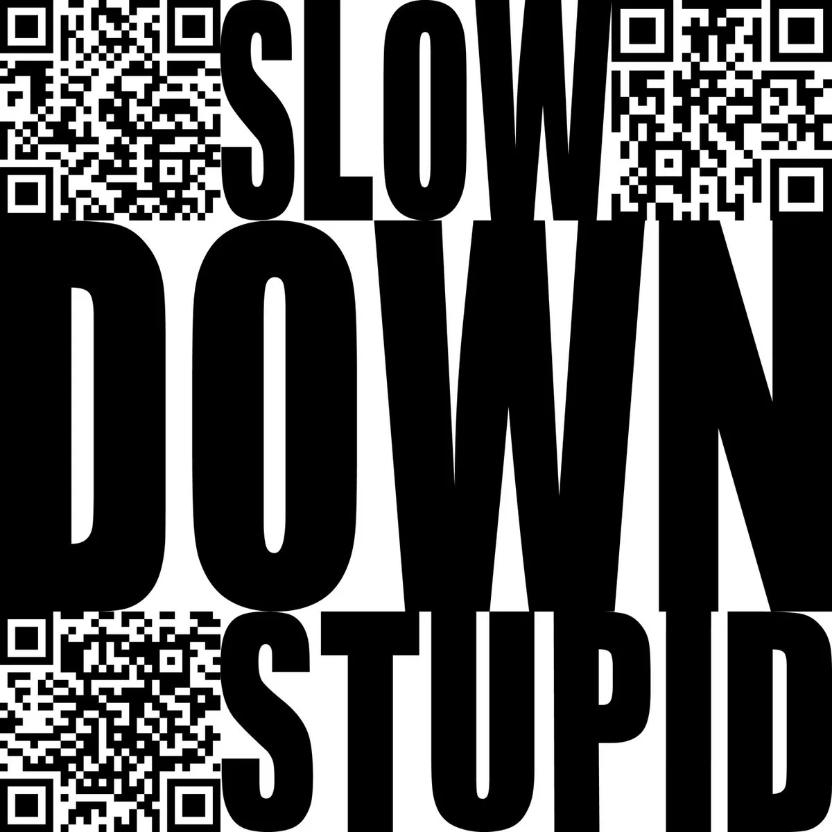 Обложка Slow Down Stupid (2025) · Bogdan Raczynski